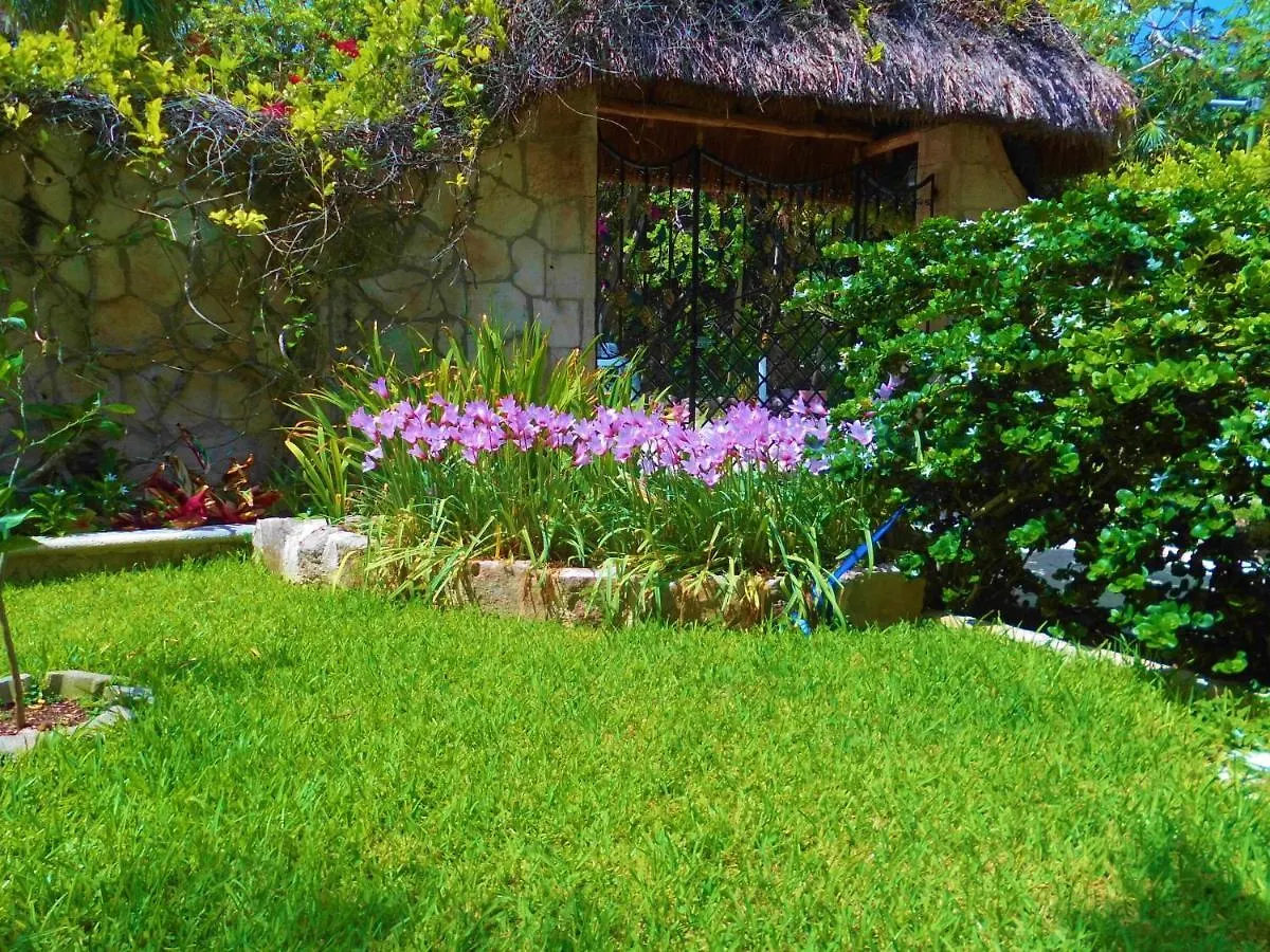 Casa Gatos Aparthotel Akumal 2*,  México