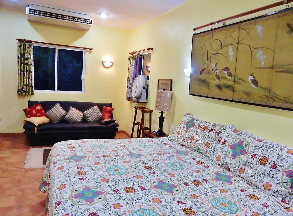 Casa Gatos Aparthotel Akumal México