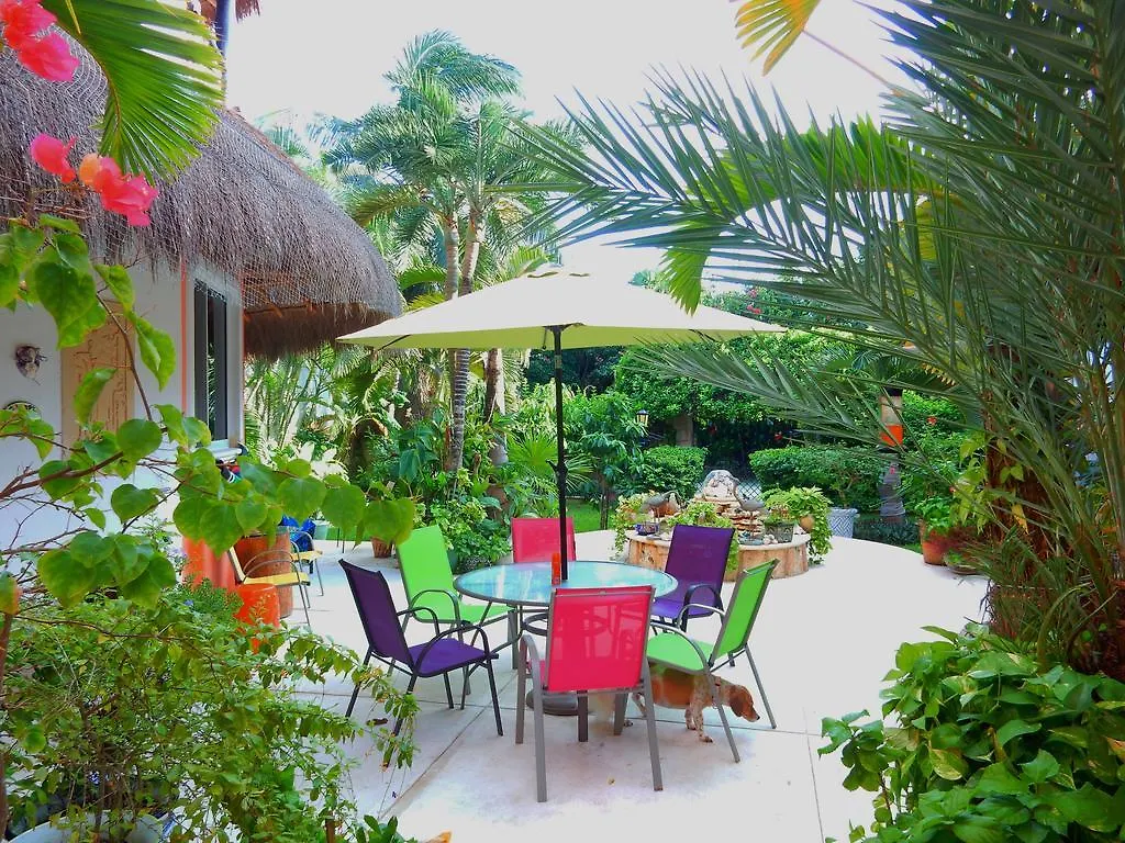 Casa Gatos Aparthotel Akumal