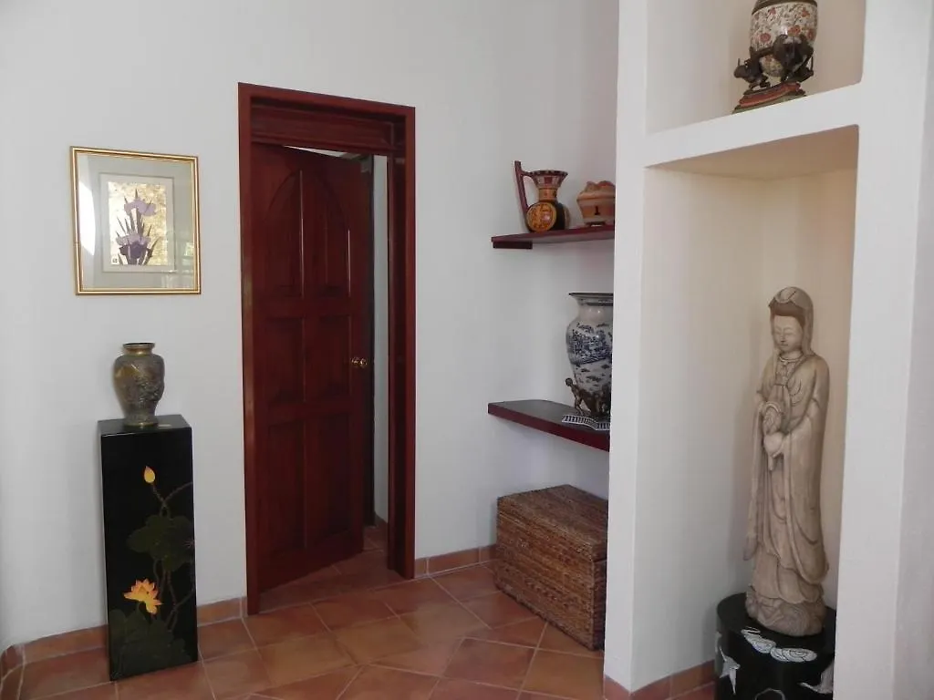 Casa Gatos Aparthotel Akumal