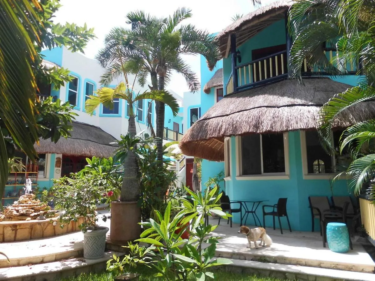 Casa Gatos Aparthotel Akumal