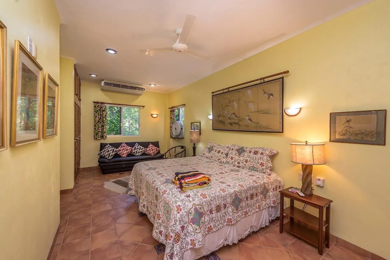 Casa Gatos Lejlighedshotel Akumal
