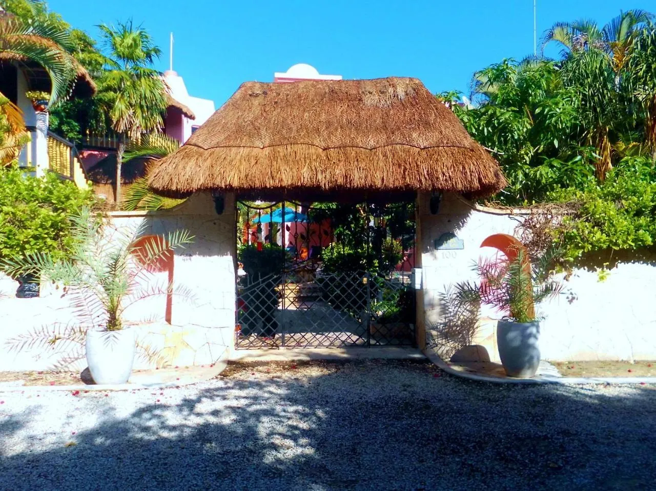 Casa Gatos Lejlighedshotel Akumal