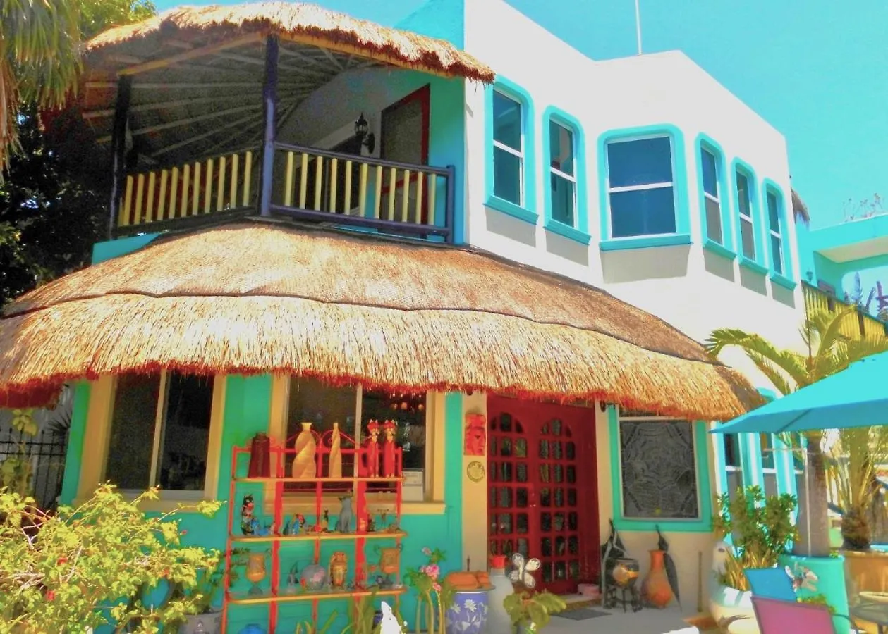 Casa Gatos Aparthotel Akumal 2*,  Mexico