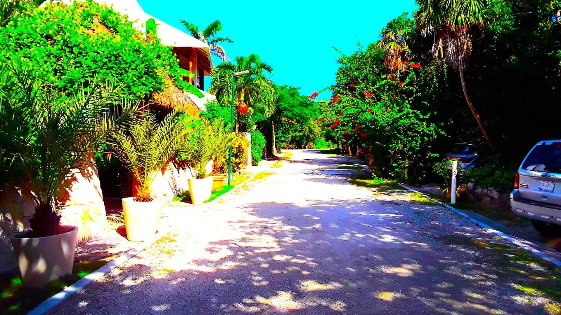 Casa Gatos Aparthotel Akumal