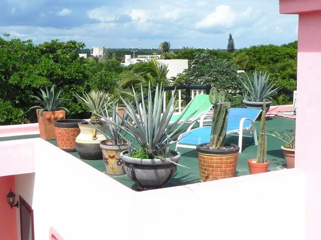 Casa Gatos Aparthotel Akumal